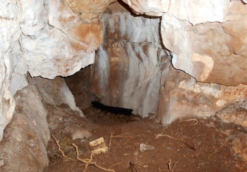 Jaskinia z Wysp skrywała prehistoryczne DNA. Naukowcy odczytali je po 11 000 lat