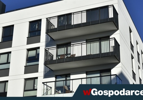 Fala optymizmu u deweloperów