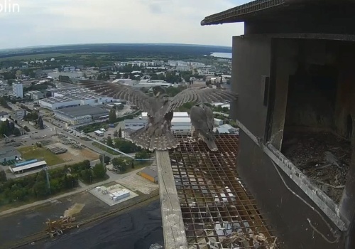 Na kominie w Lublinie jak w popularnej telenoweli. Nastąpił kolejny zwrot akcji