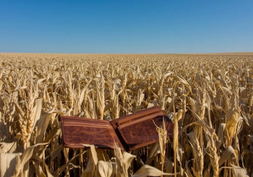 Kto płaci podatek rolny: właściciel czy dzierżawca?