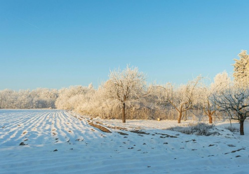 Mroźny wtorek i nadchodzące zmiany w pogodzie