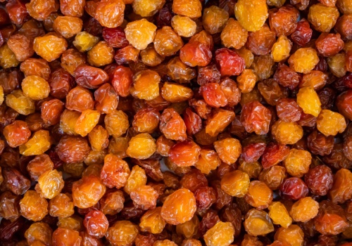 Ratunek dla wątroby i nerek prosto z polskich łąk. Posadź u siebie w ogródku