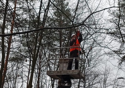 Premie roczne dla urzędników – stanowisko wójta!