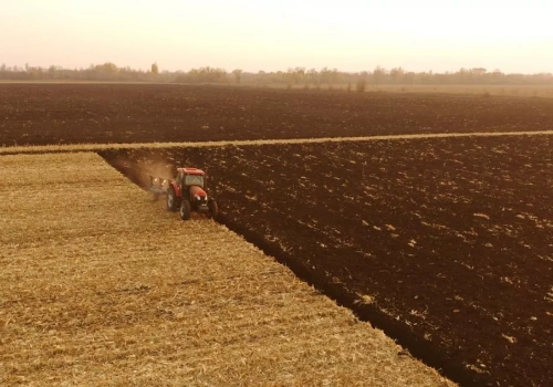 Rolnik nie może iść na rozprawę. Kto z rodziny może go zastąpić?