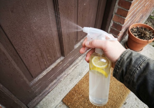 Przejmij swój próg mieszanką. Nieproszeni goście będą omijać drzwi szerokim łukiem