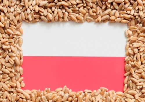 Nowe szanse dla polskiej żywności. Rośnie sprzedaż poza UE