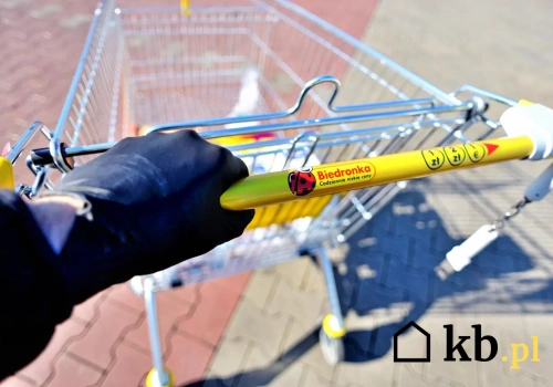 Dziennikarskie śledztwo wyjaśniło tajemnicę mleka z Biedronki. Już wszystko wiadomo