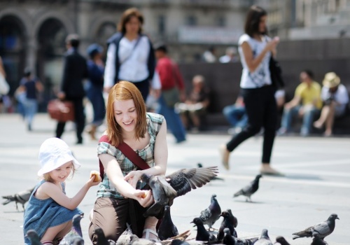 Kraków testuje metodę ograniczenia gołębi. W mieście ma być czyściej