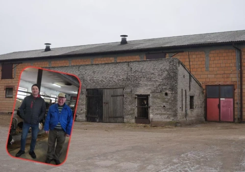 Pełna obora i trudne decyzje. Czy to ostatnie pokolenie mleczarzy?