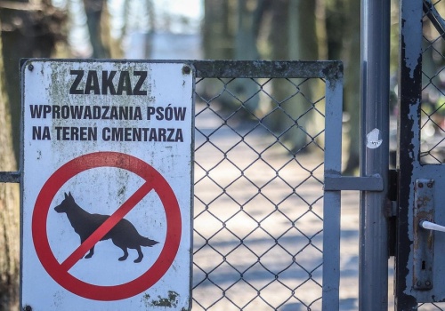 Parafia w Gdyni zakazała wprowadzania psów na cmentarz. W sieci zawrzało