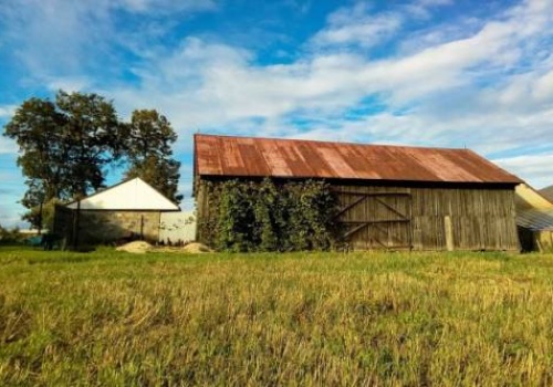 Będą uproszczenia w obrocie ziemią rolną. Rząd przyjął deregulację MRiRW