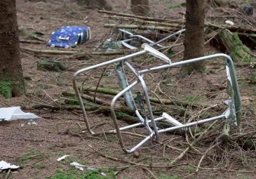 Mniej śmieci, gigantyczne koszty. Raport z lasów regionu za 2025 rok