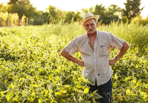 Emeryt z KRUS bez pieniędzy na prawnika. Kiedy sąd przyzna adwokata z urzędu?