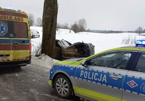 Potężne uderzenie w drzewo na drodze wojewódzkiej. Wezwano służby
