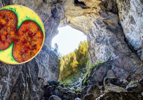 Odmrozili bakterie sprzed tysięcy lat. Są odporne na nasze antybiotyki