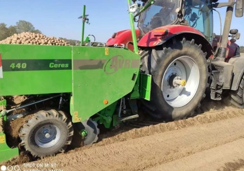 Stanowisko Europlant: producent sadzeniaków zabiera głos w sporze o kryzys na rynku ziemniaka