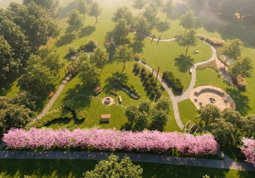 Zielona rewolucja na Baranówce. Ruszają prace nad nową przestrzenią relaksu