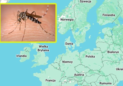 Ekspansja tropikalnej choroby 