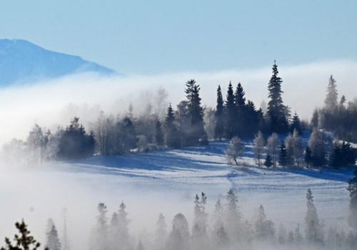 Znaleźli ślady trzęsień ziemi w Polsce. Wyjątkowo aktywny region
