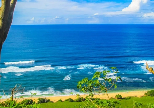 Przywieźli tropikalną chorobę do Polski. Zakażeni turyści w krakowskim szpitalu