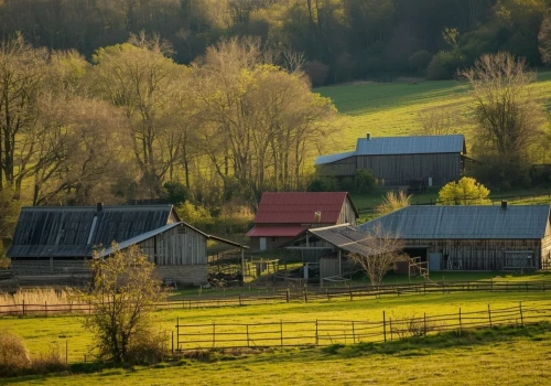 Kara za brak OC budynków rolniczych w 2026 roku. Ile zapłaci rolnik?