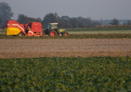 Rolnicy wrócili do inwestycji. 7,5 mld zł na nowe maszyny w 2025 r.