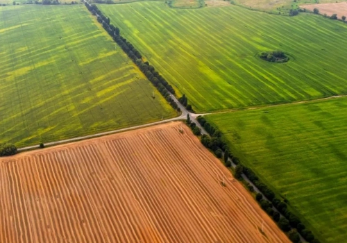 Rolnicy chcą pierwszeństwa przy zakupie ziemi w przetargach komorniczych