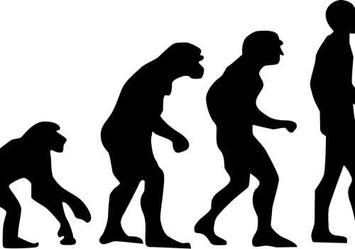 Skamieniałość z Chin zawiera tkanki naszego tajemniczego przodka. Miał dodatkową parę oczu