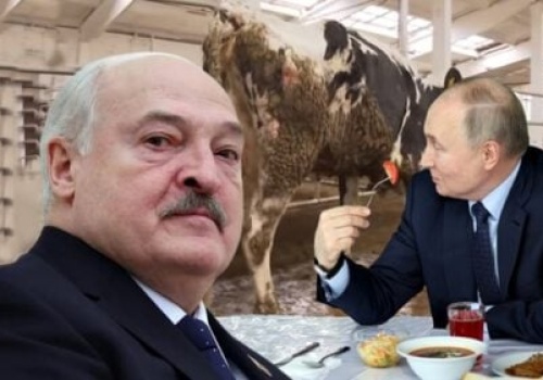 Łukaszenka w histerii! Gdzie krowy? Padły. Gdzie pomidory i ogórki? Ruscy zjedli
