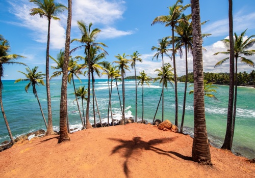 Egzotyczna wyspa Cejlon za 2817 PLN 😍 Loty do Sri Lanki z bagażem + noclegi blisko plaży 🌴