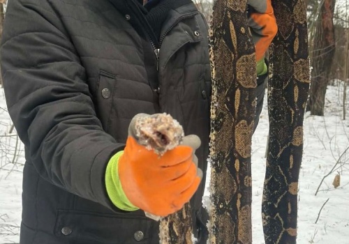 Przerażające znalezisko w Otwocku. Strażników aż zatkało