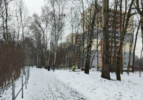 Dzień dobry Katowice. Sporo drzew zostało wyciętych przy stawie Morawa