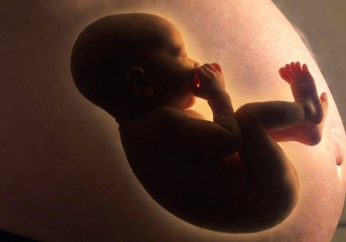 Ponad połowa zgonów na świecie to zgony z powodu aborcji!