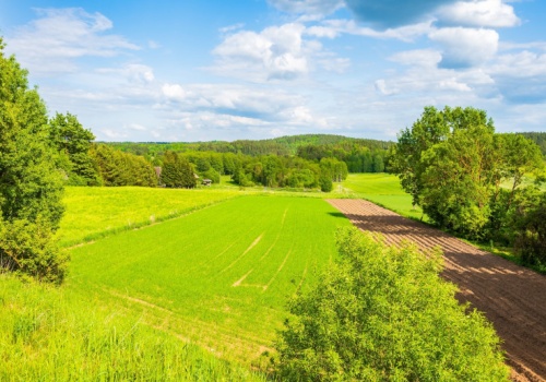 Susza uderza w łąki. Hodowcy czują się pominięci w systemie