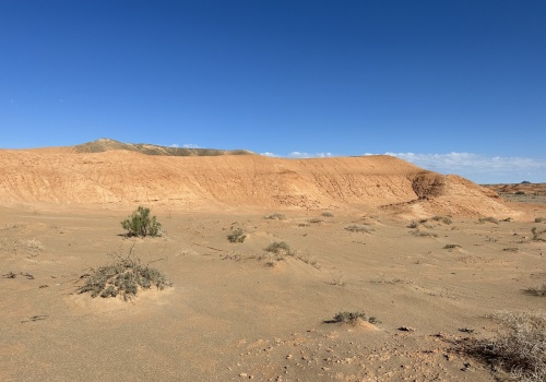 Chiński zielony mur przyniósł poważne konsekwencje. Satelity odsłaniają paradoks masowego sadzenia drzew