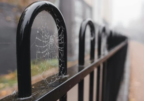 Jak polskie ogrodzenia metalowe stały się standardem na niemieckich posesjach?