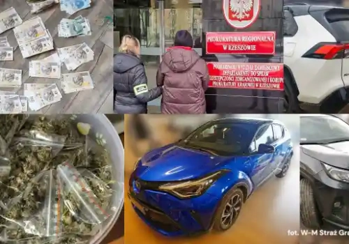 Rozbito grupę handlarzy kradzionymi autami. W tle „lecznicza” marihuana