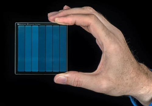 Tak wygląda cyfrowa nieśmiertelność. 