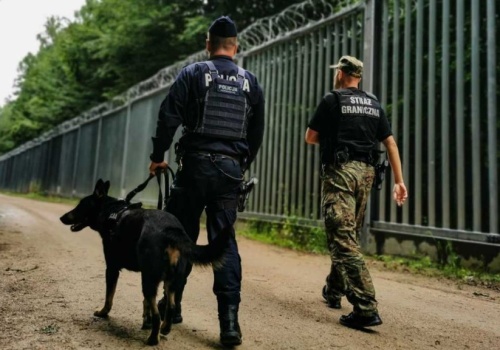 Służby MSWiA „wypadną