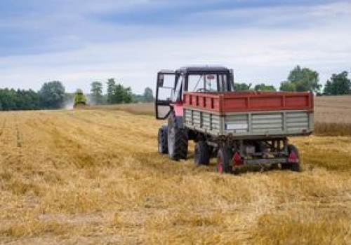 8 tys. zł strat przez dzikie ptaki. Rolnicy zostają bez odszkodowań