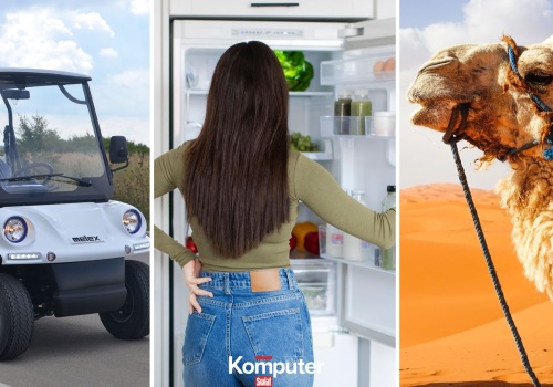 Quiz dla umysłowych gigantów. W starciu z tymi pytaniami nie masz szans