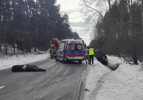 Tragedia w czwartkowe południe. Nie żyje kierowca, droga całkowicie zablokowana