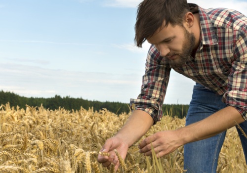 Koniunktura w rolnictwie nie rozpieszcza. Są wyniki badania farmer.pl
