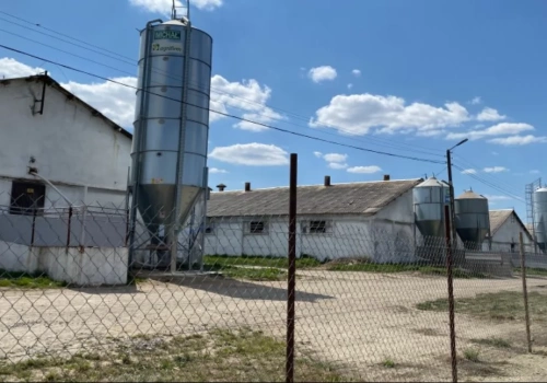 Wyrok za smród z chlewni w Domaszkowicach 