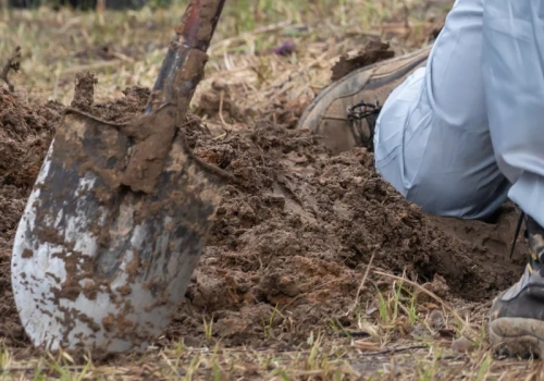 Polscy archeolodzy odnaleźli Stolzenberg. Zaginione miasto ma 700 lat?