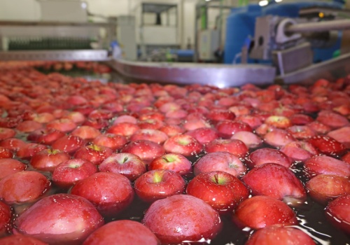 Już nie tylko jabłka. Oto polskie produkty ekologiczne, za którymi szaleją za granicą