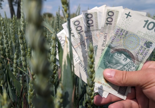 Ruszyły tanie kredyty dla rolników. Lista banków i stawki