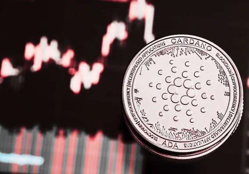 Cardano już nie podniesie się po krachu? Te dane dają cień nadziei. Co mówią?