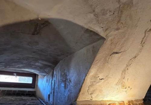 Wilgoć i pleśń. Pałacowa restauracja do remontu