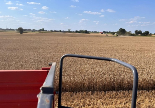 Ceny kontraktów terminowych na zboża wzrosły na światowych giełdach
